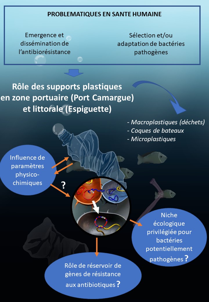 Image d'illustration du projet
